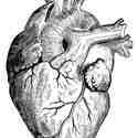 heartmakers_amsterdamumc