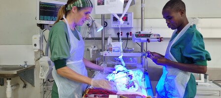 Grenzeloze compassie: IC kinderverpleegkundige Anita in Malawi 