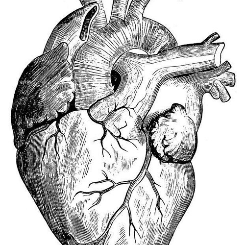 heartmakers_amsterdamumc